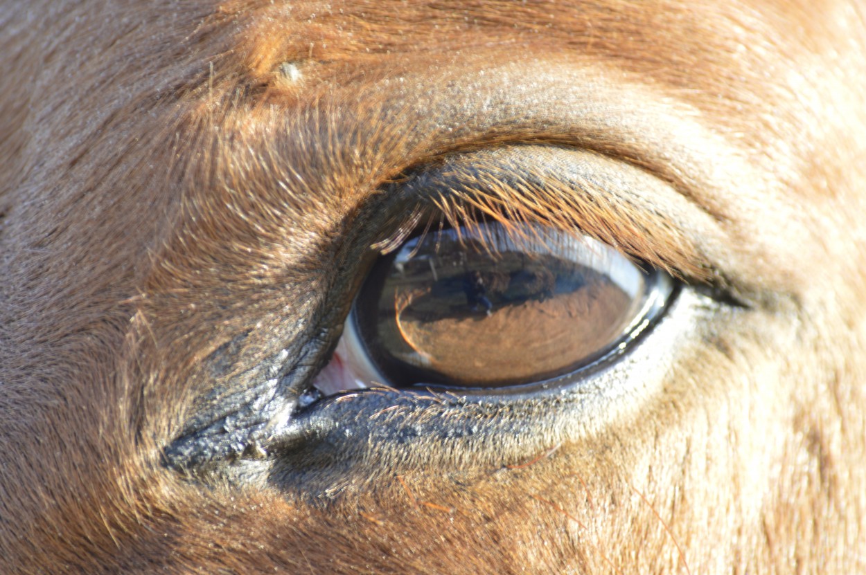 Dentro de tu mirada