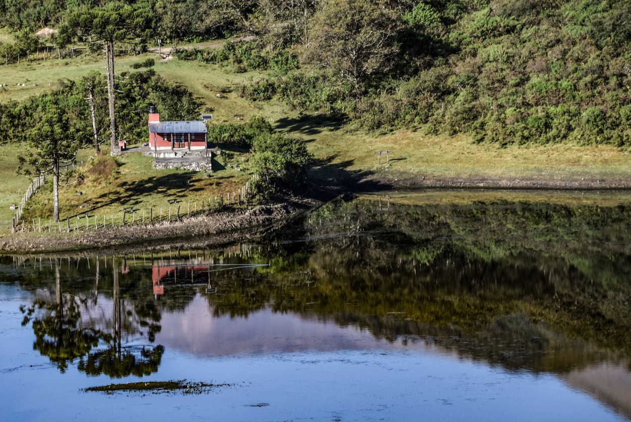 REFLEJOS