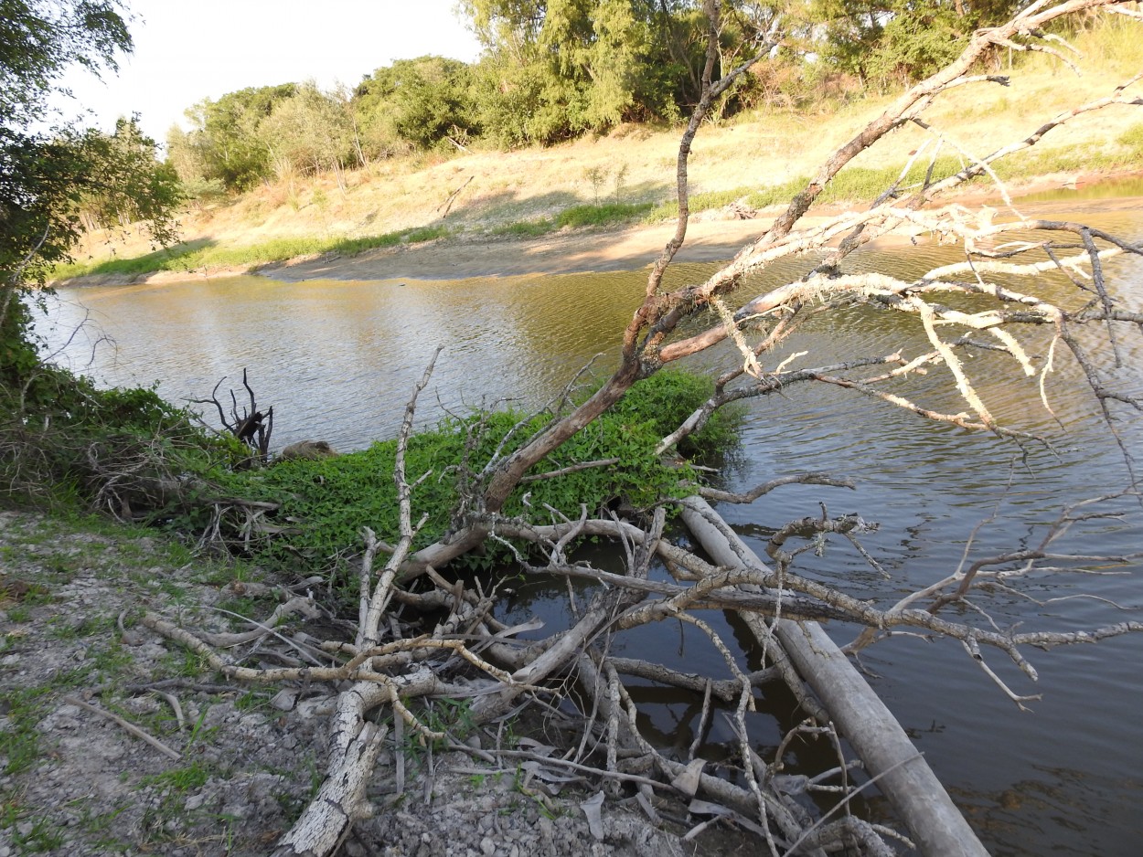 `Naturaleza ....sin intervencin`