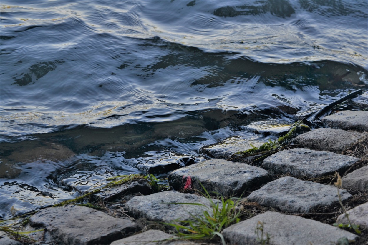 Acariciando las rocas.