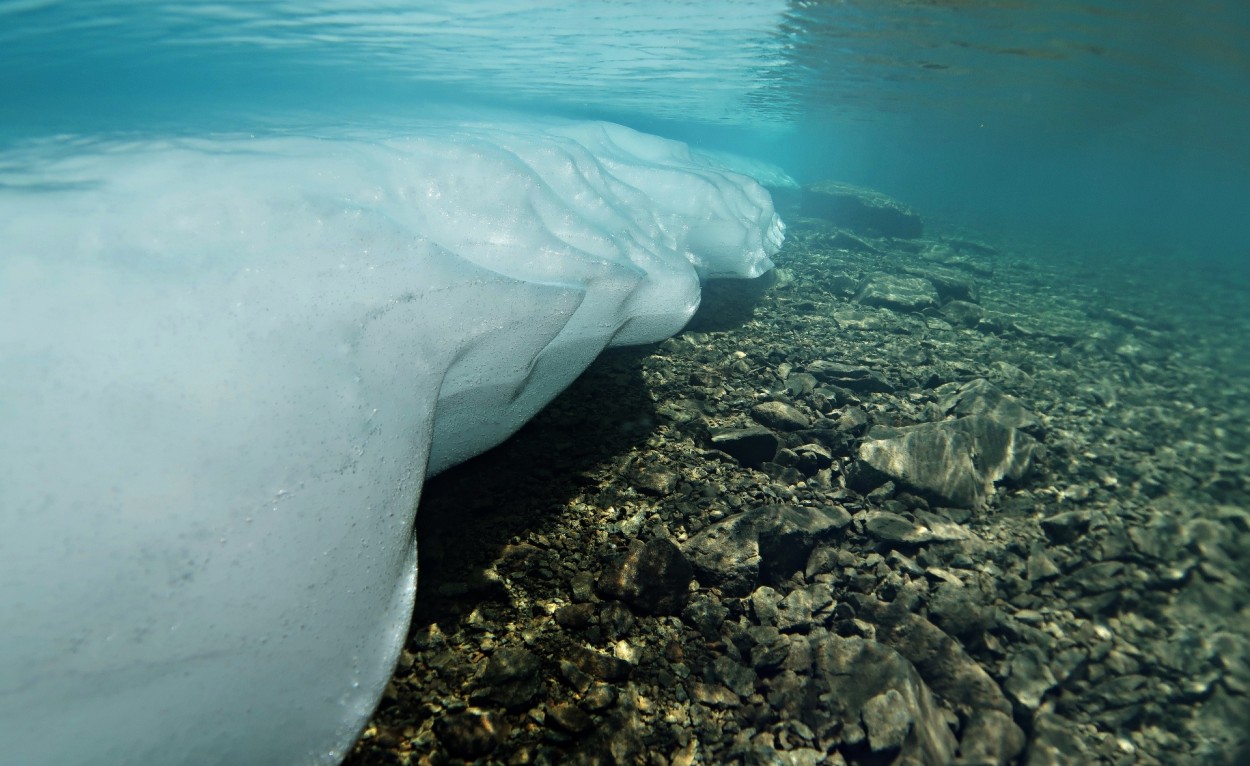 Estados del agua