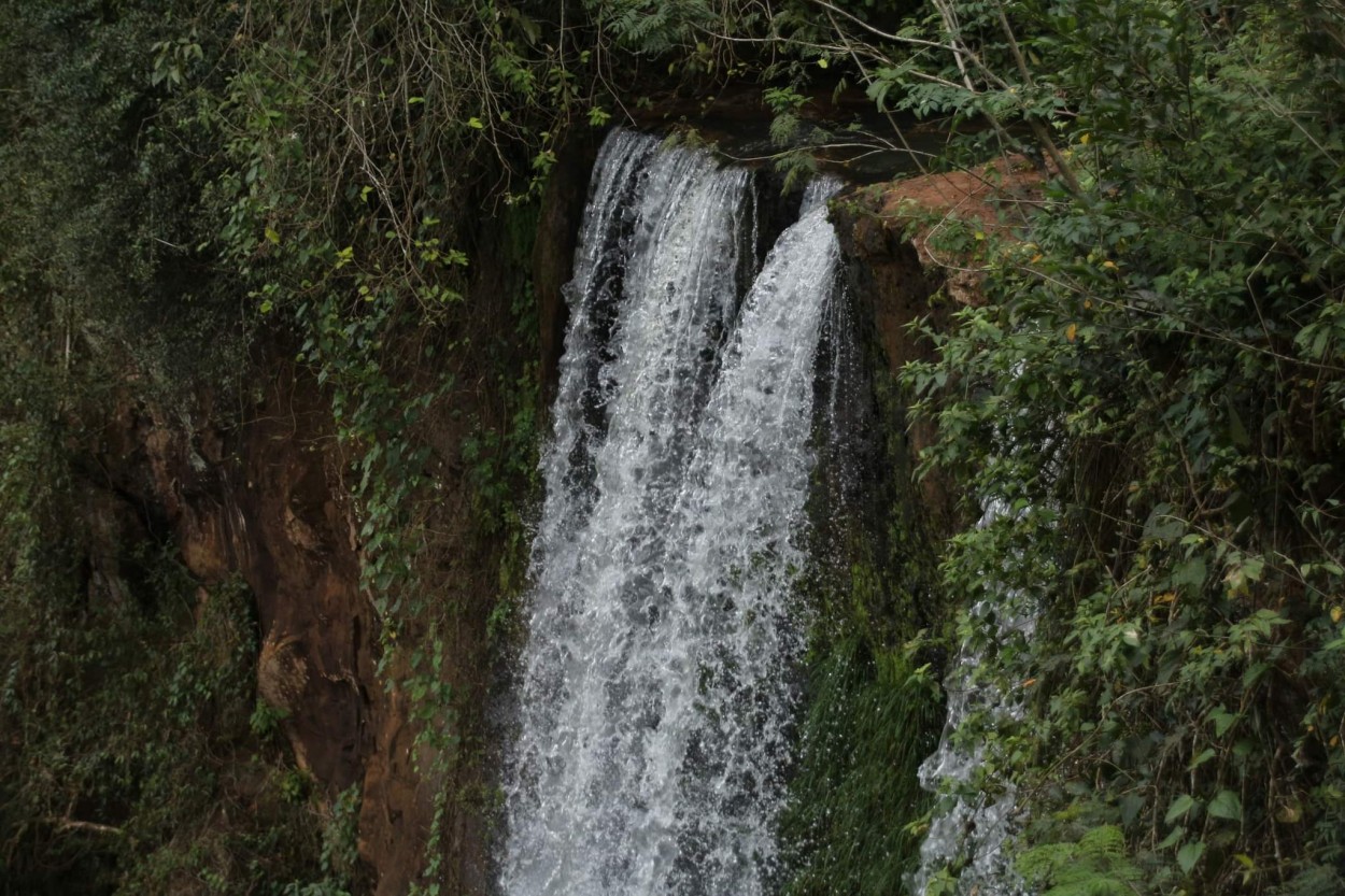 Cascada en la selva