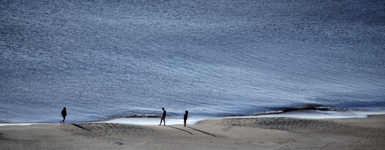 Contemplando el mar