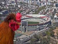 El gallo y las ....