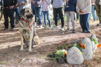 Pennilein despidiendo al humano