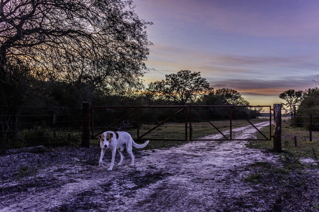 EL GUARDIAN DE LA TRANQUERA