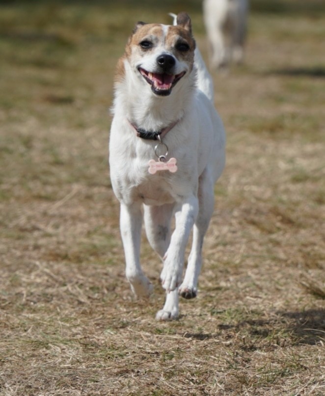 La felicidad de ser libre y amado