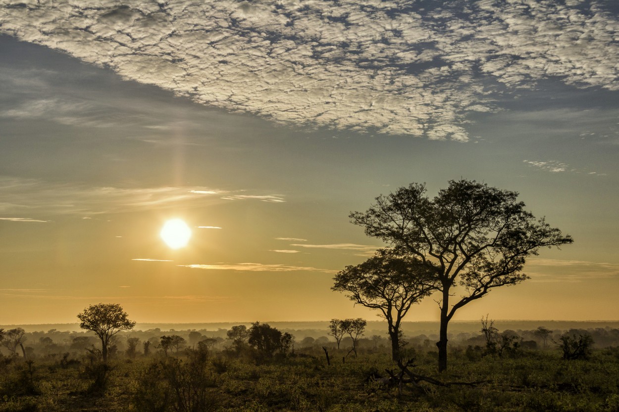 Amanece en el Kruger.