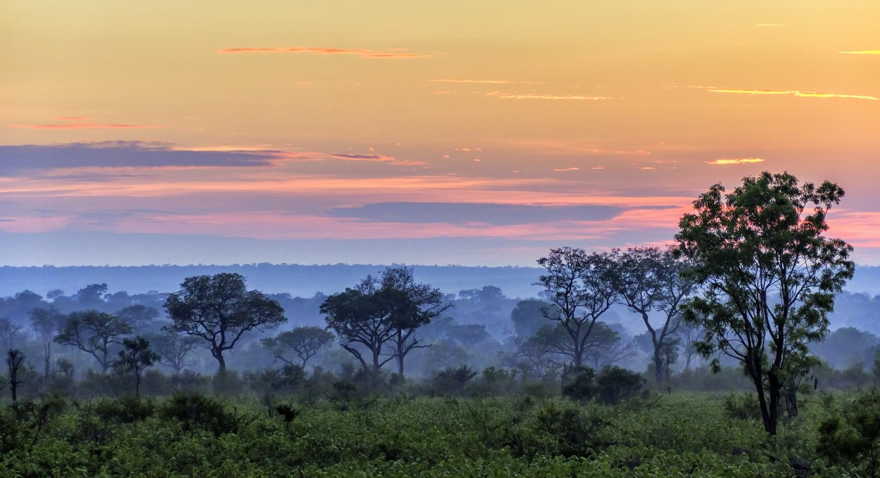 En la paz del amanecer