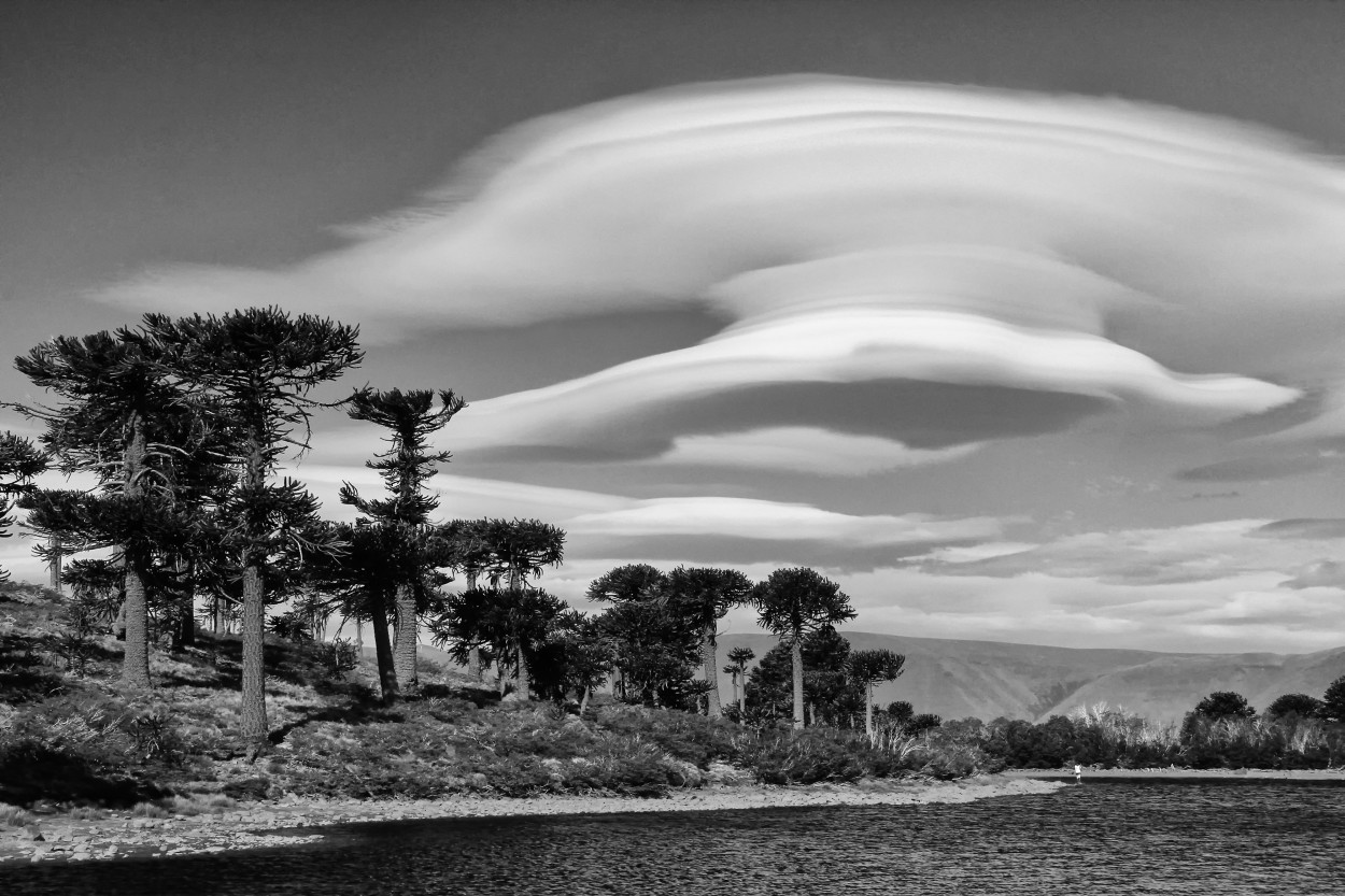 Bajo nubes de crema