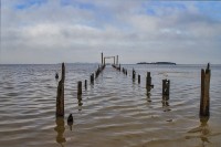 Muelle de Colonia