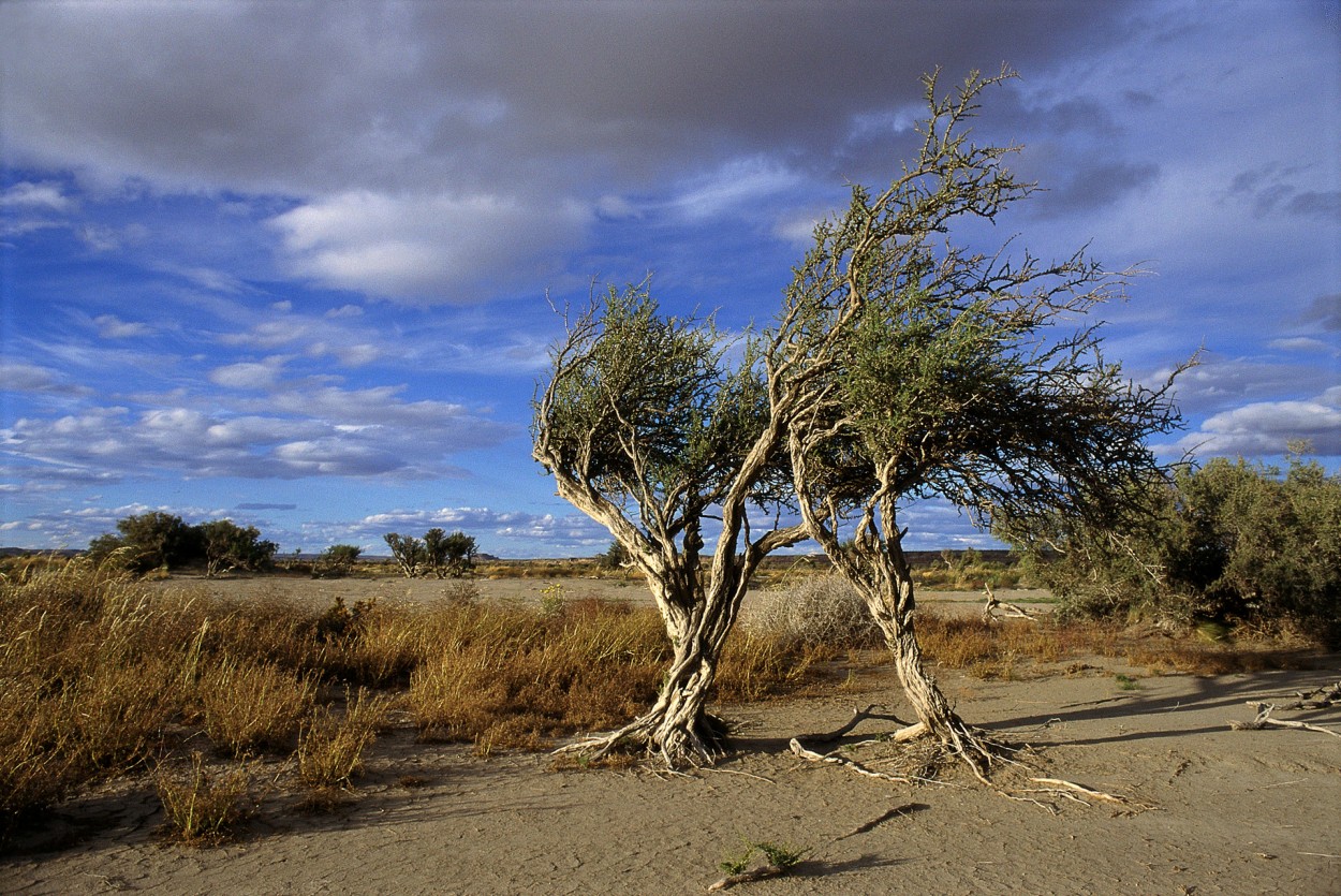 Paisaje en Chubut