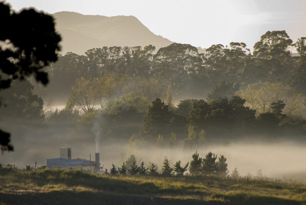 Amanecer con neblina