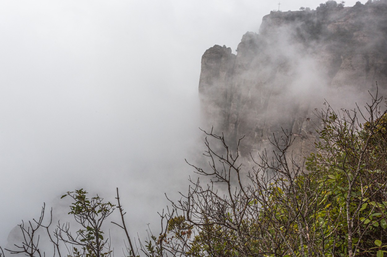 Niebla