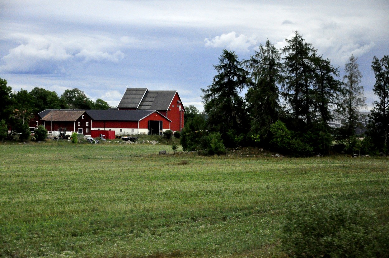 Campos nrdicos