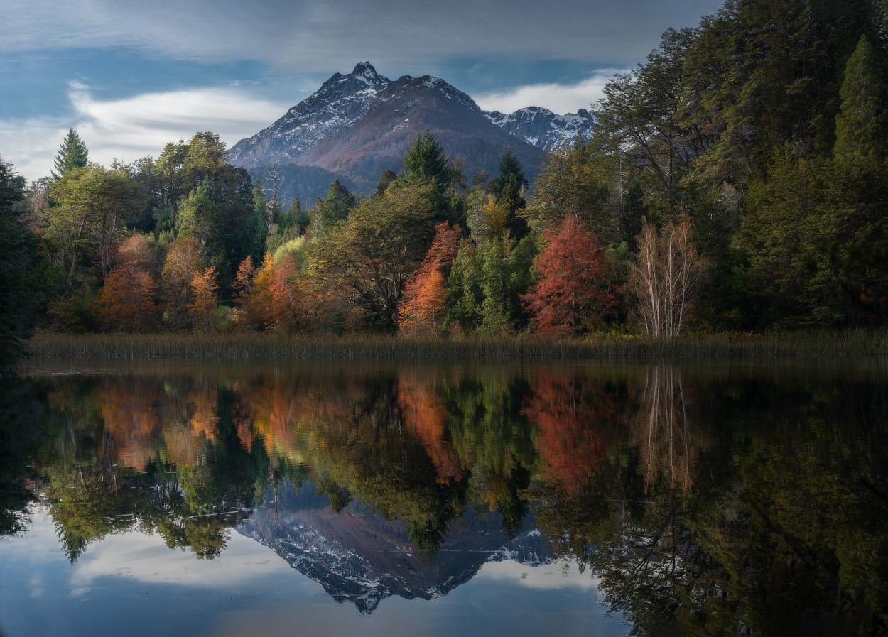 Reflejos