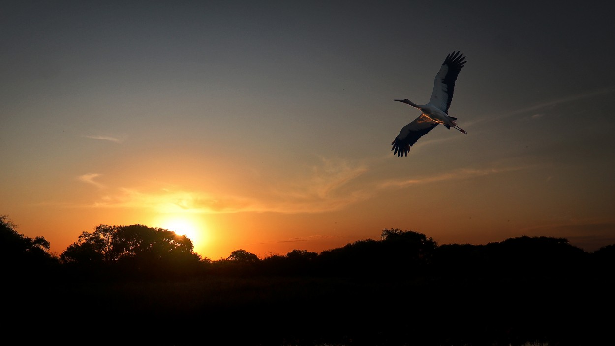 Atardece en Atalaya