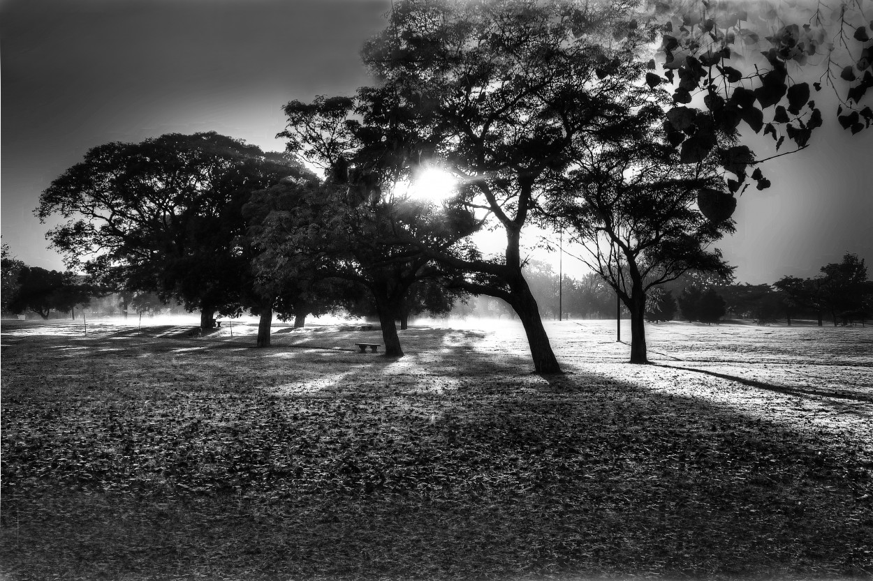 Parque Castelli, La Plata