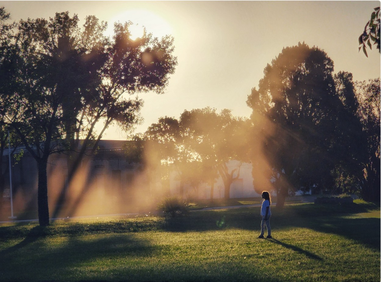 Sombras de la tarde