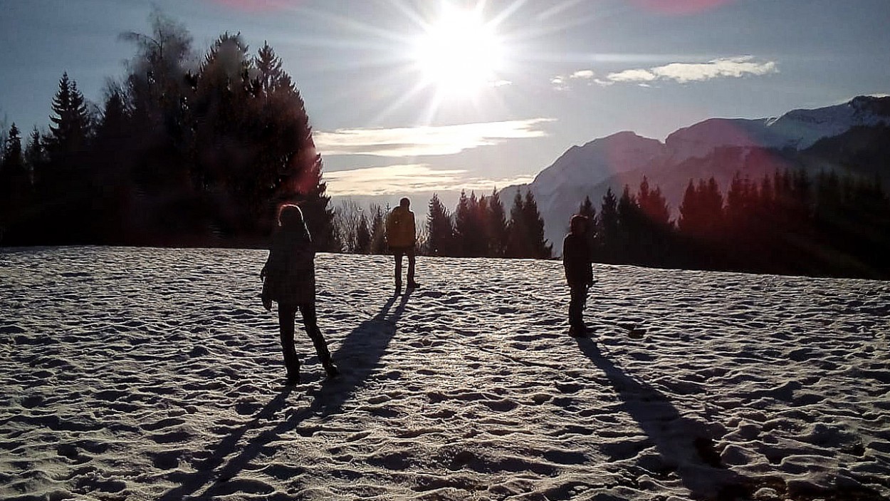 Sombras en la nieve...