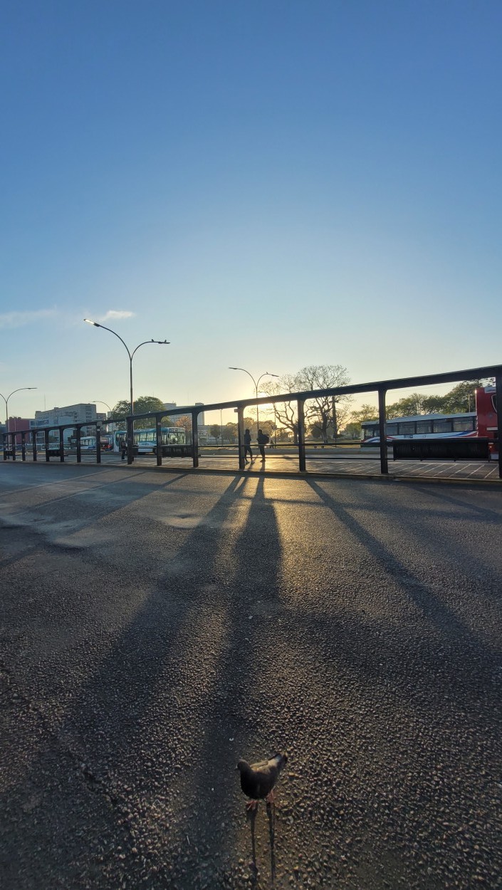 AMANECER EN RETIRO