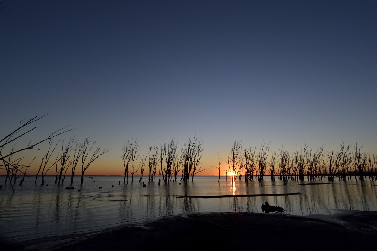 sombras al atardecer