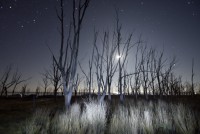 sombras de luna