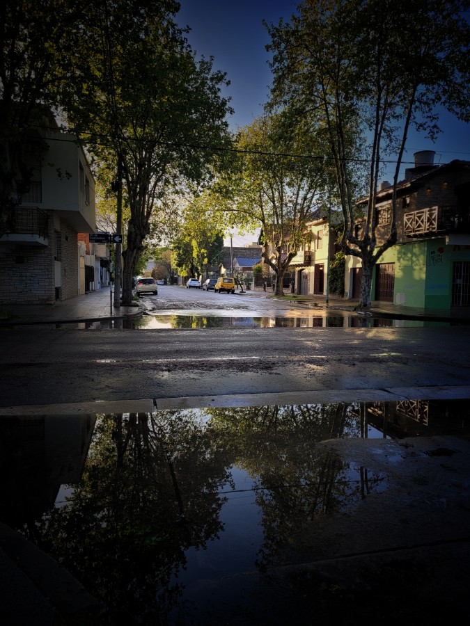 Lo que la lluvia nos dej