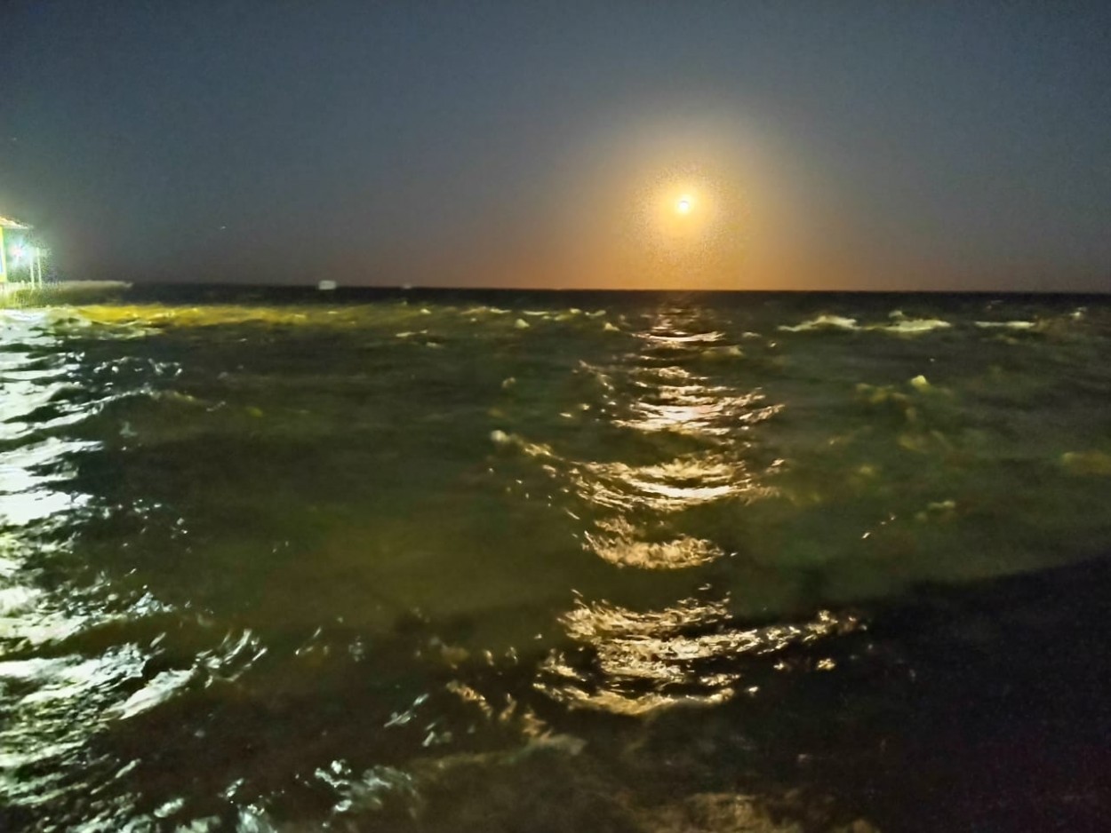 CHORIPAN EN EL RIO DE LA PLATA