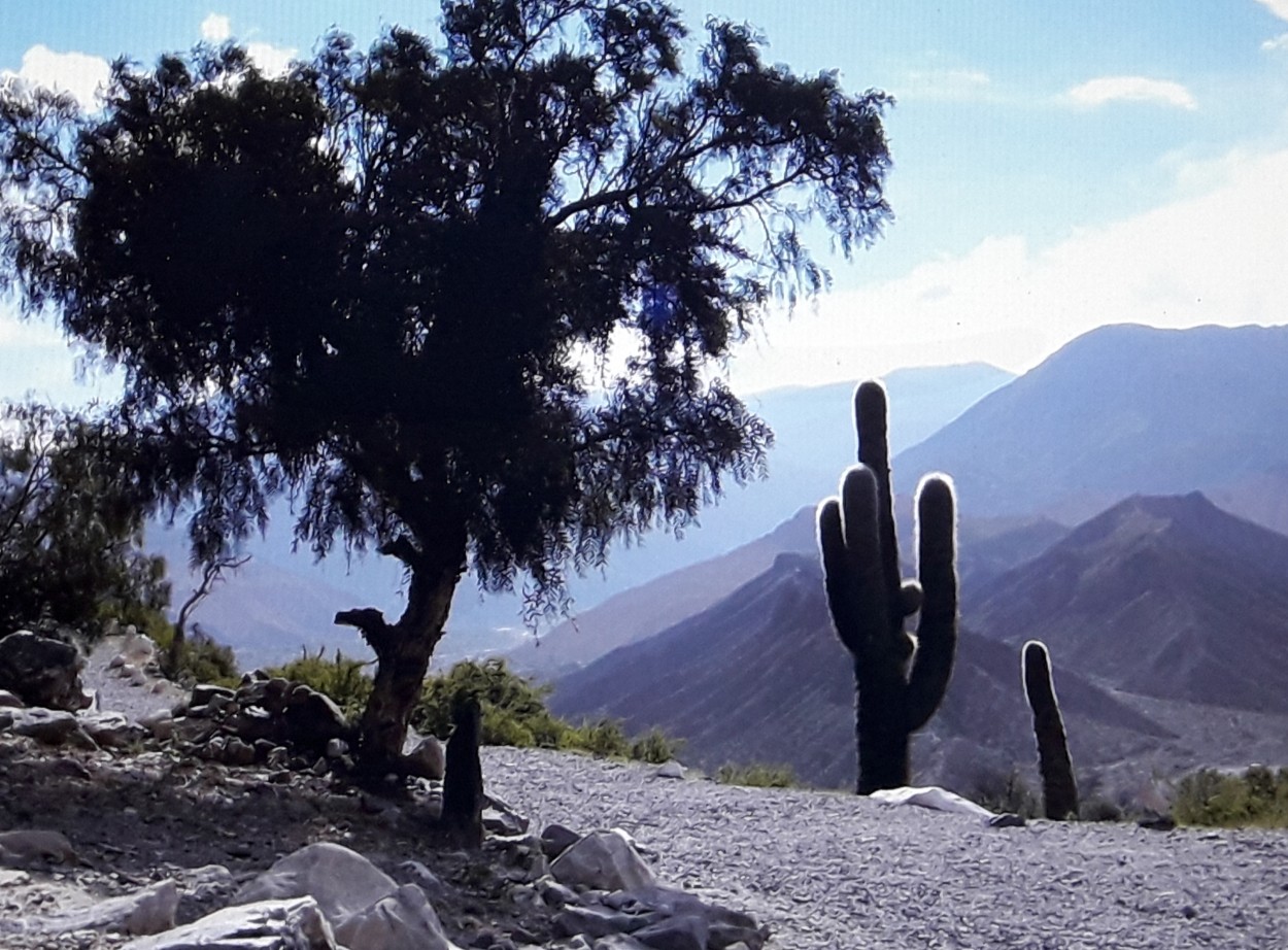 Custodios del camino