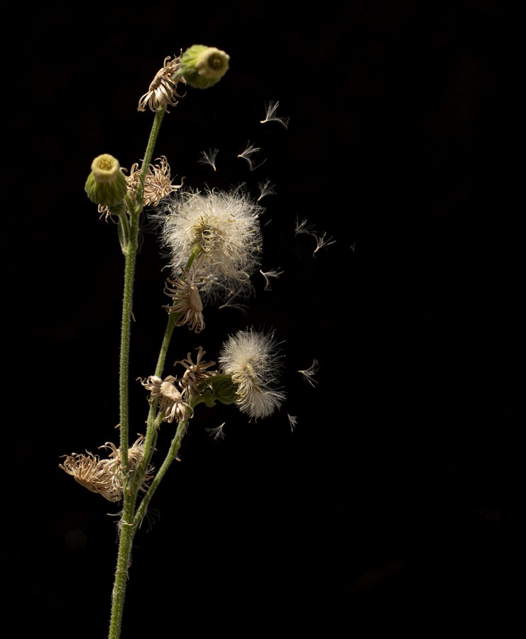 Cumpliendo ciclos