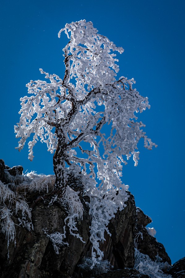 Queua de cristal