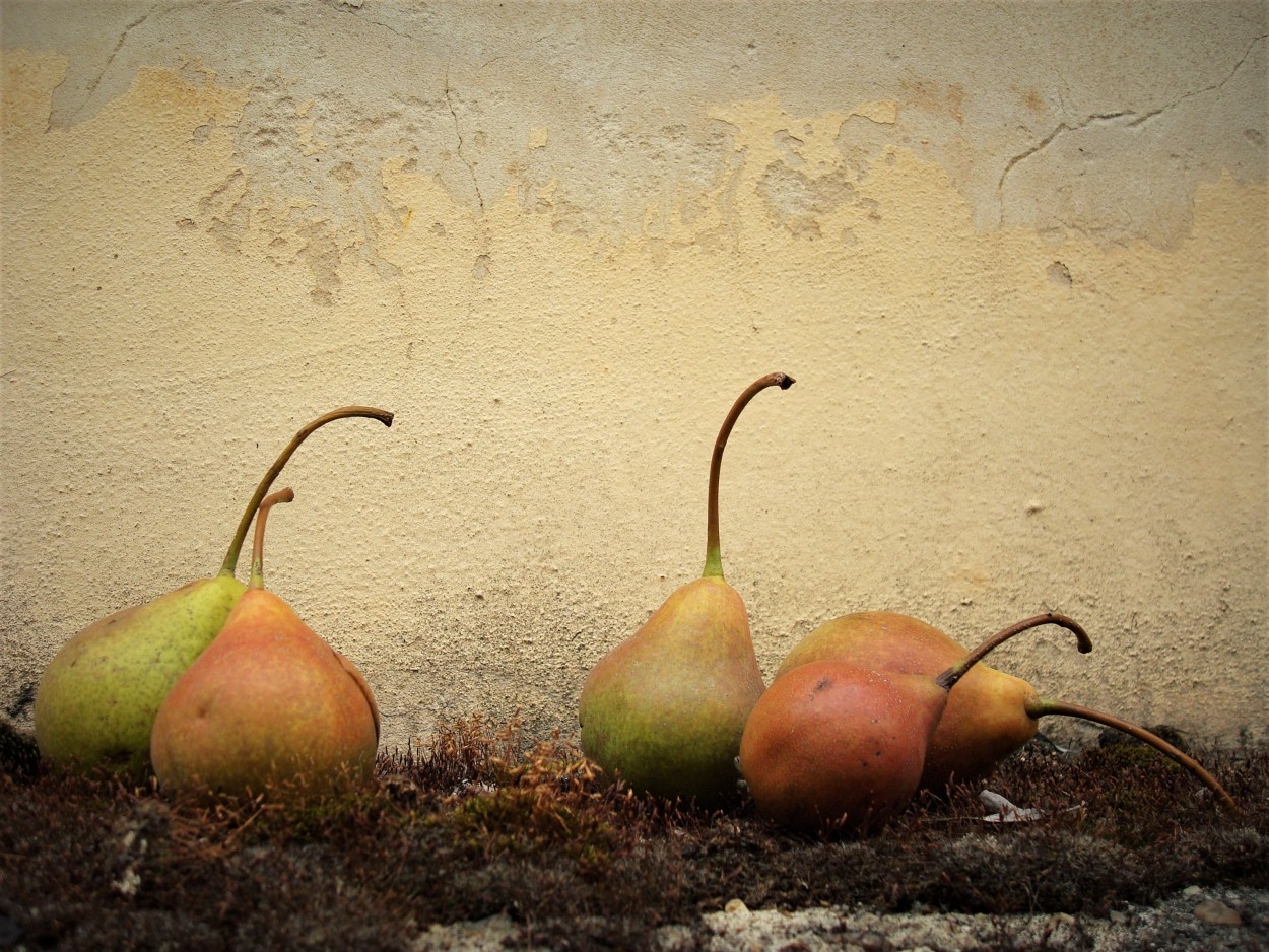 Abandonadas