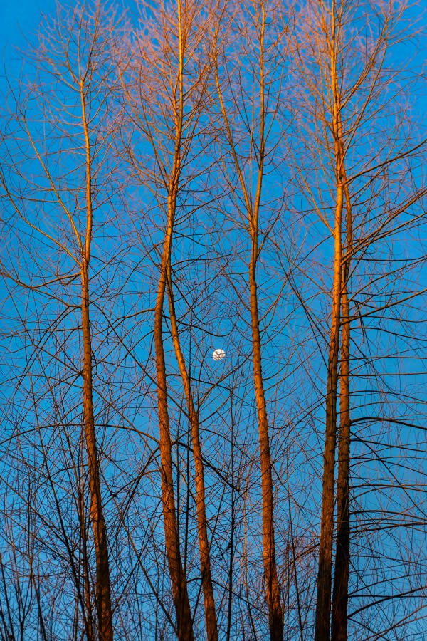 Sol y Luna