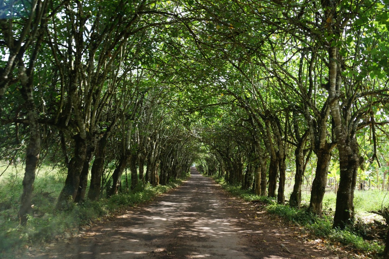 Parque Villarino, Zavalla, Santa Fe