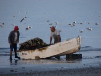 Vuelta en el Pituli