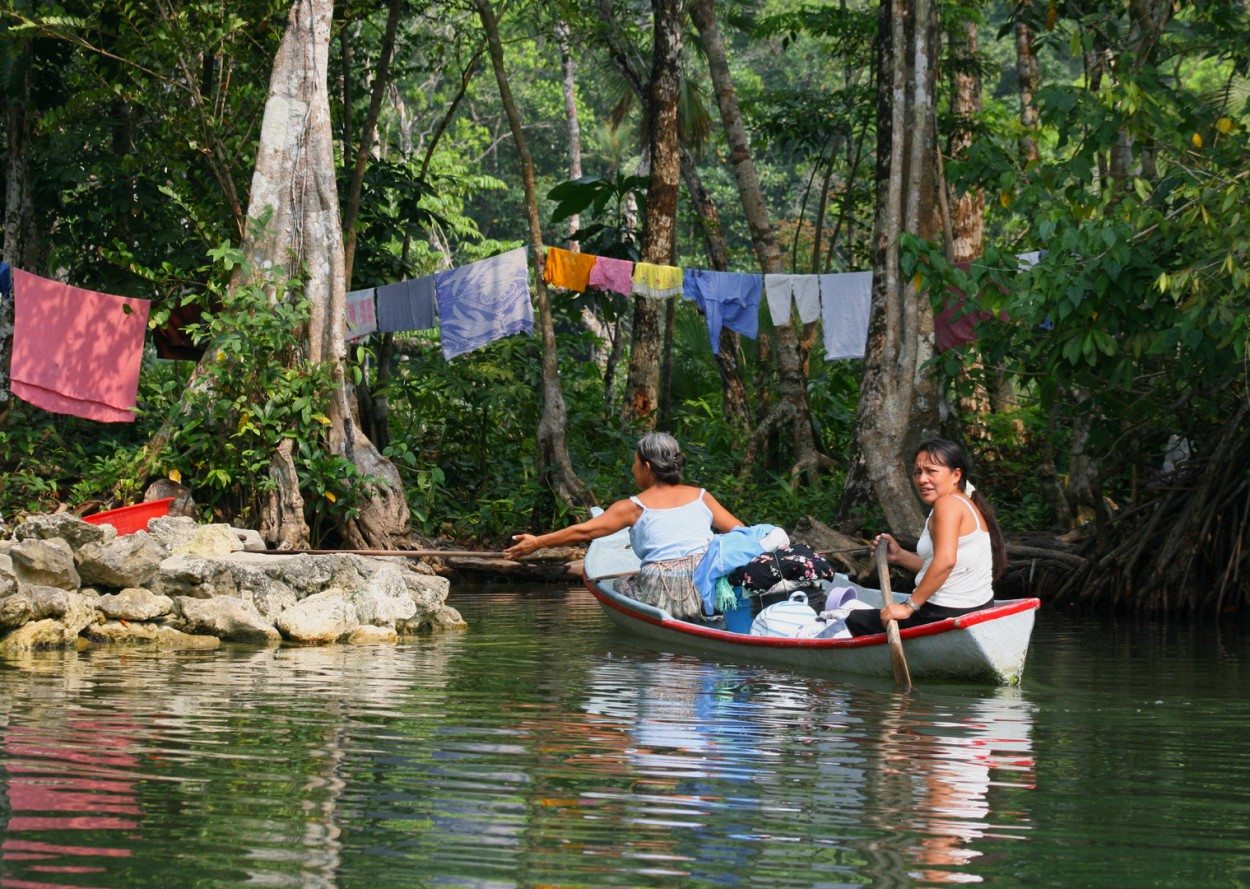 La vida en la selva