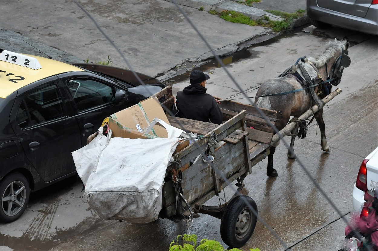 pobre mi caballo bayo