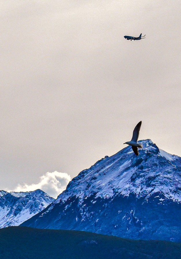 Volando a la par