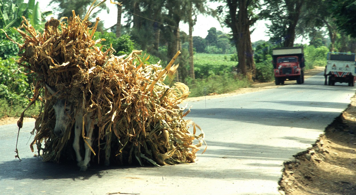 Carga Rural