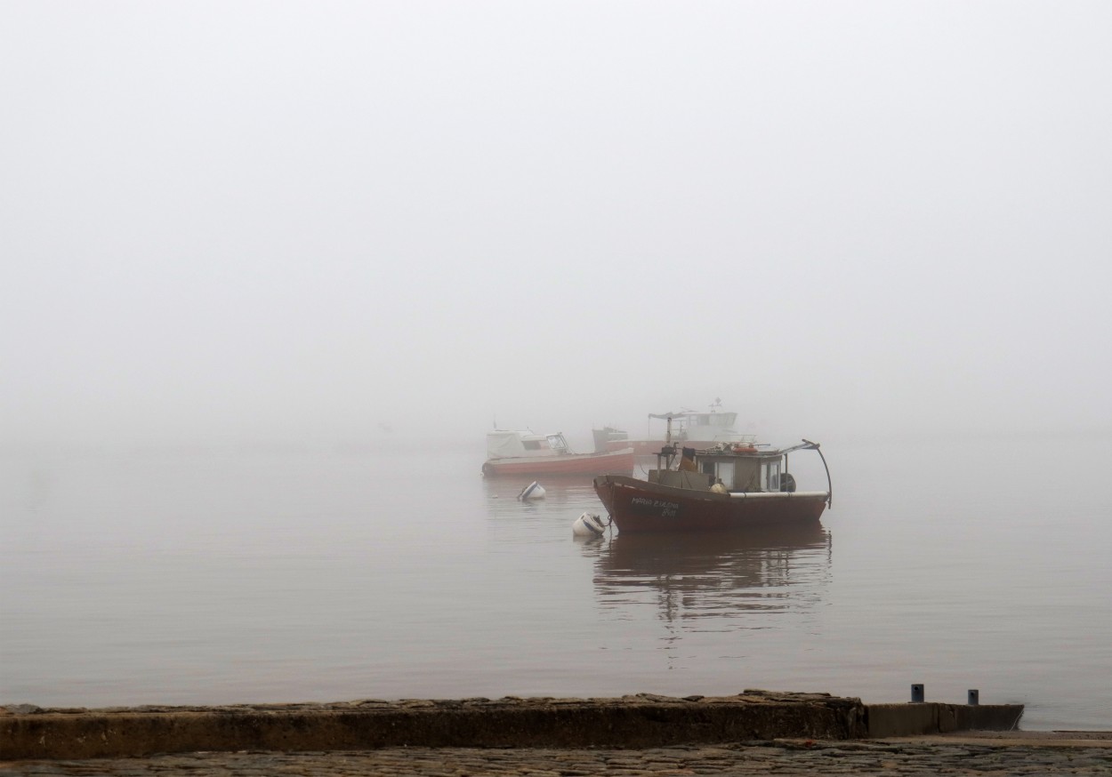 En la niebla