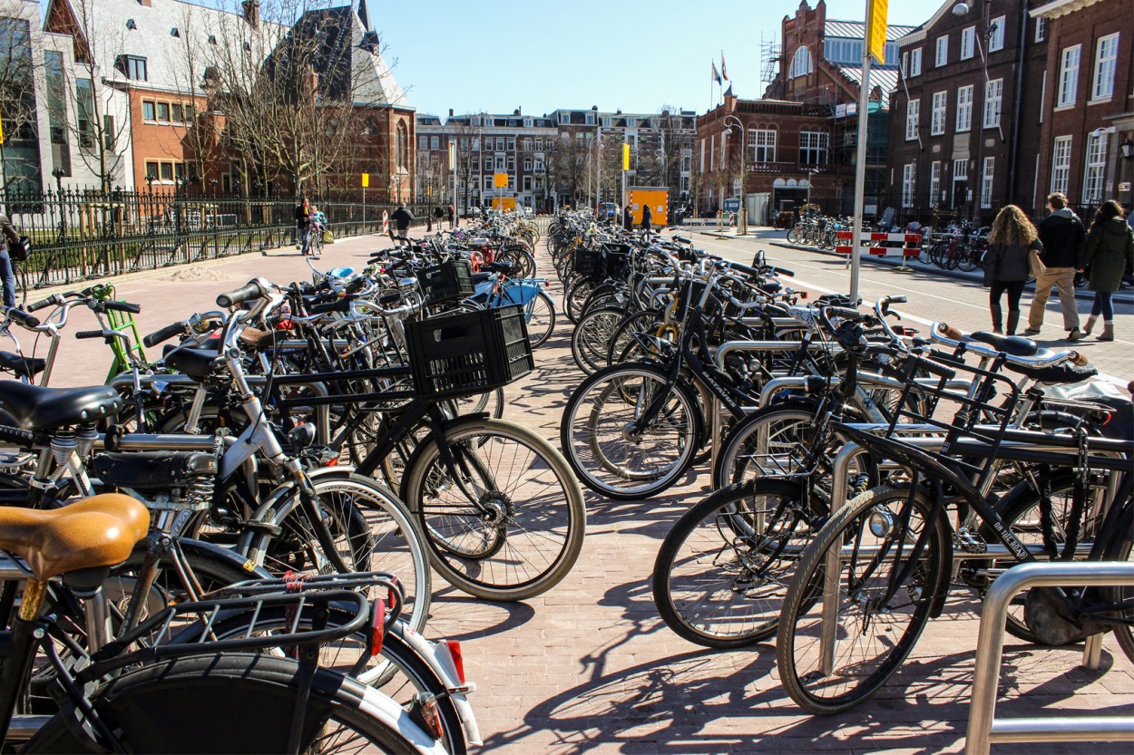 Mundo bicicleta