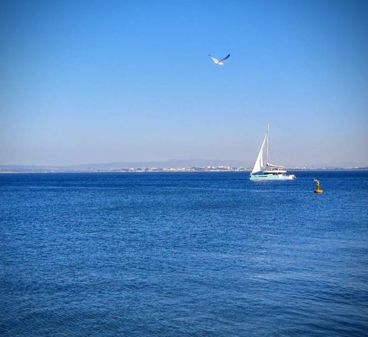 Velero en Lisboa