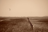 Viento y kite