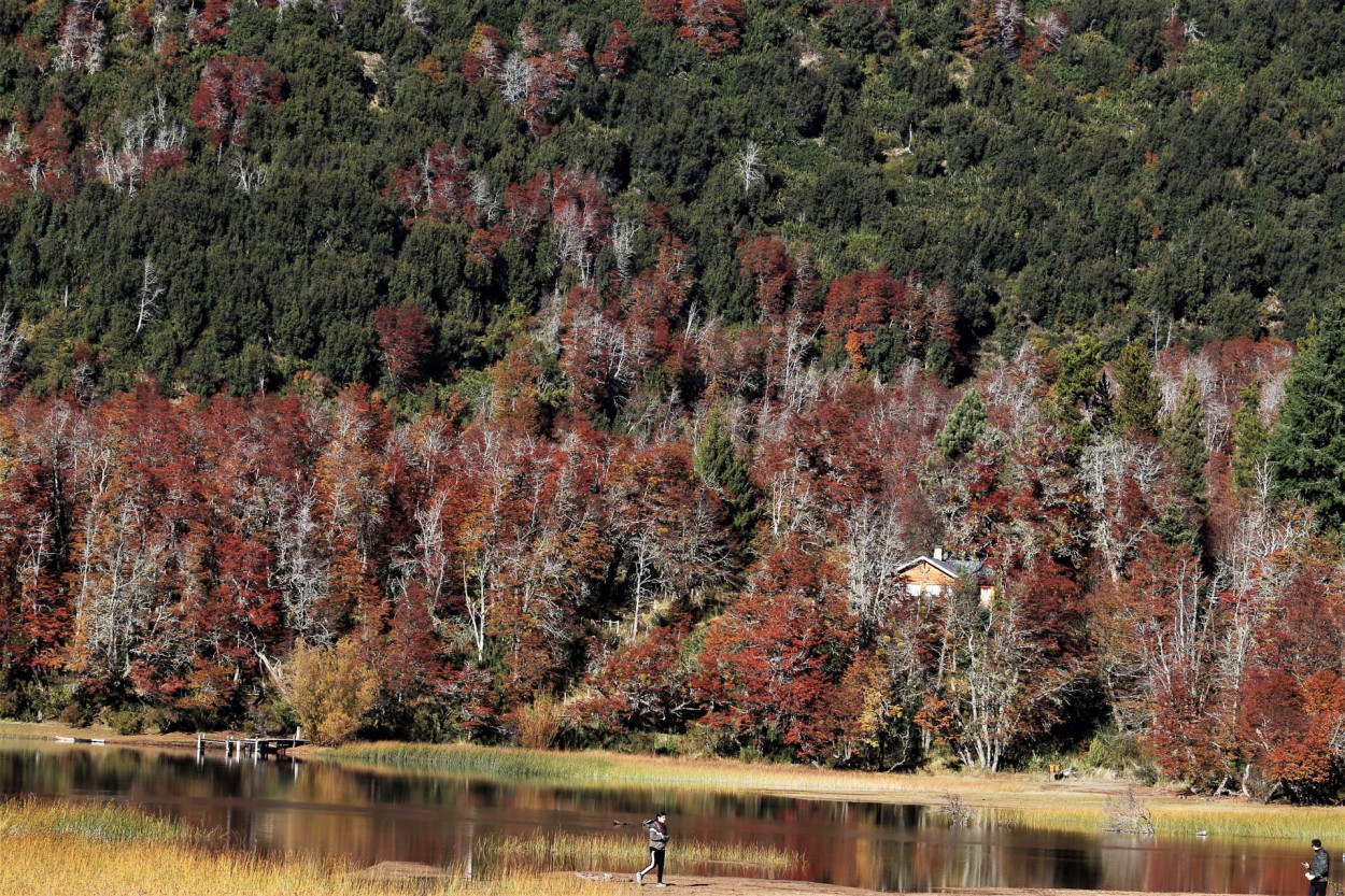 `Sur Argentino `