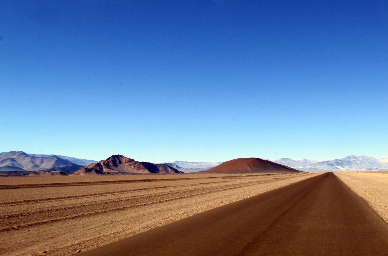 Camino a Antofagasta de la Sierra - Catamarca