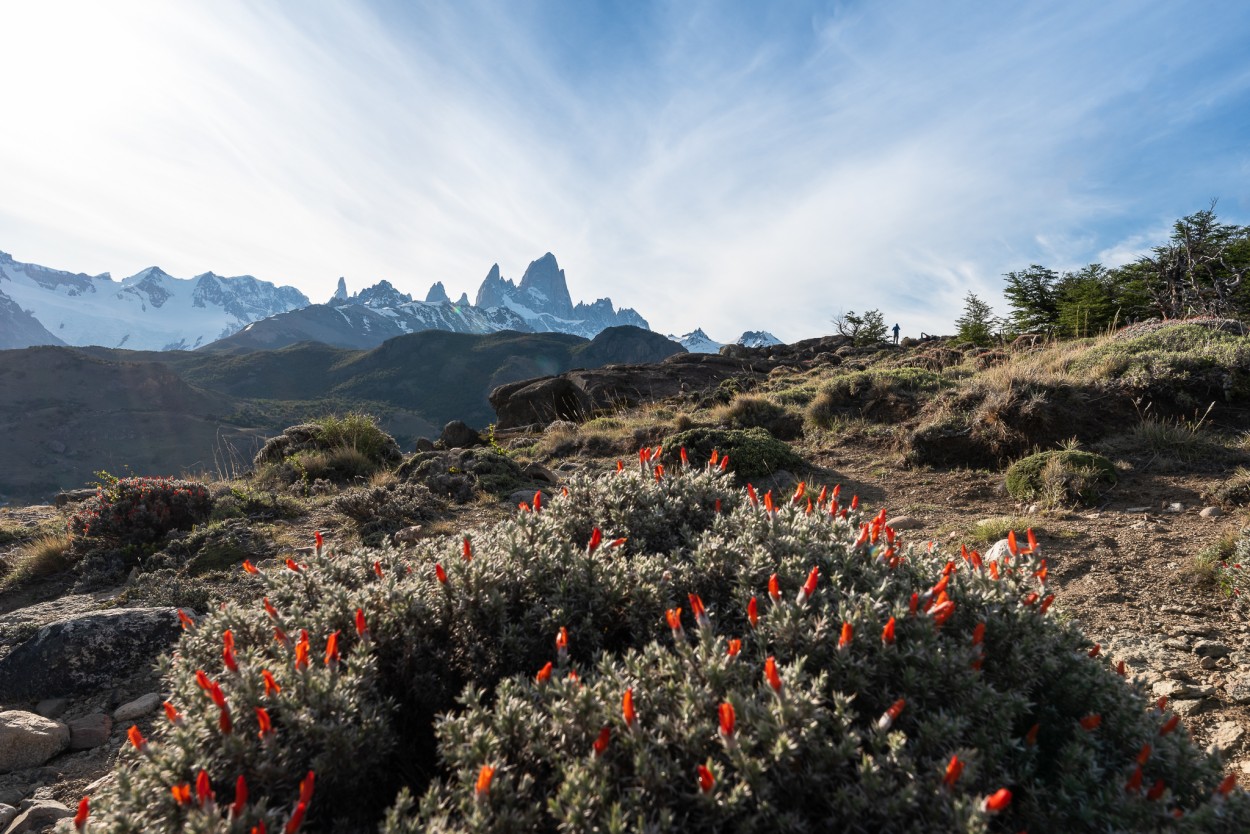 Con vista al Chaltn