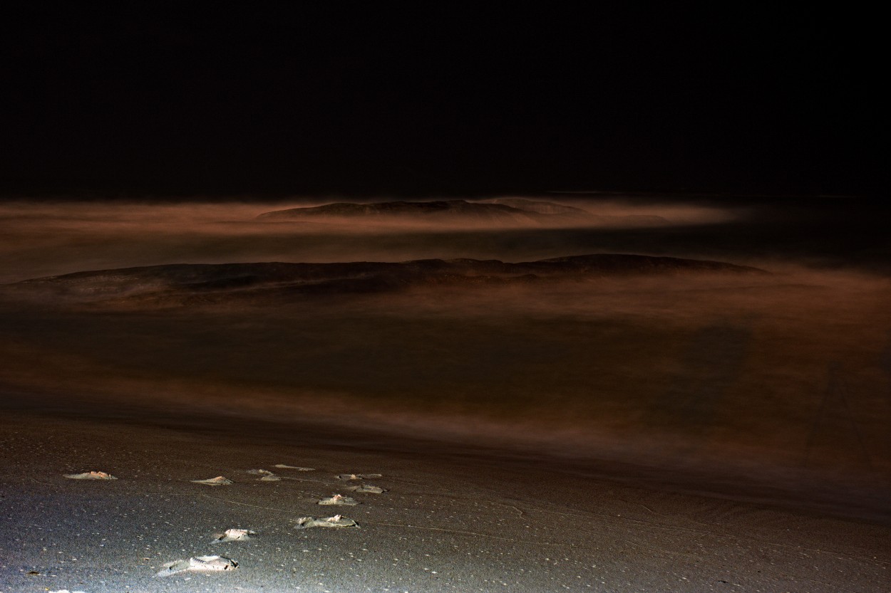 Paisaje nocturno y yo. Larga exposicin.