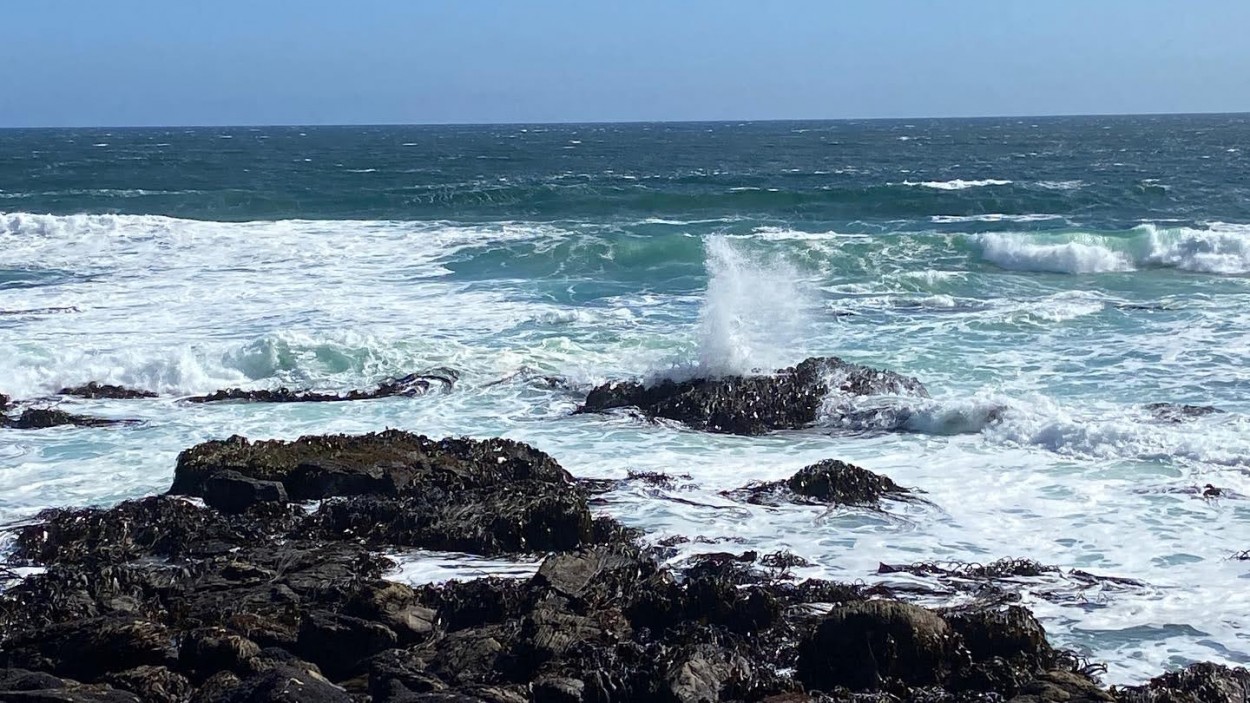 La fuerza absoluta del mar