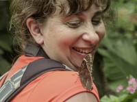 Fernanda y la mariposa